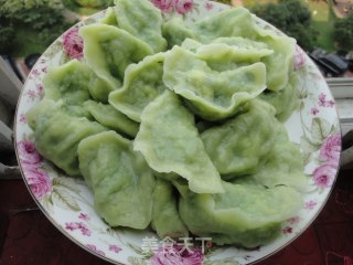 翡翠水饺的做法步骤：9
