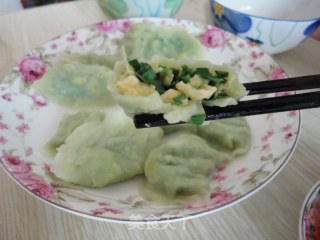 翡翠水饺的做法步骤：10