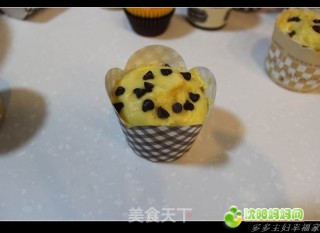 黄油飘香----葡萄干巧克力豆纸杯蛋糕的做法步骤：13