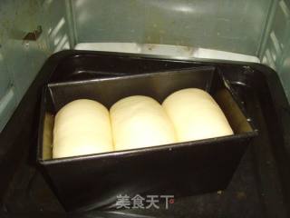 全蛋吐司的做法步骤：8
