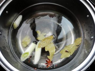夏季的清凉美容凉拌菜之------肉皮冻的做法步骤：6