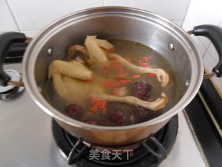 黄芪大枣鸽子汤的做法步骤：5