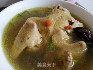 黄芪大枣鸽子汤的做法步骤：6