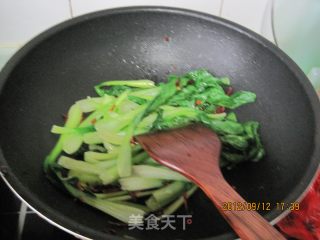 炝油菜的做法步骤：6
