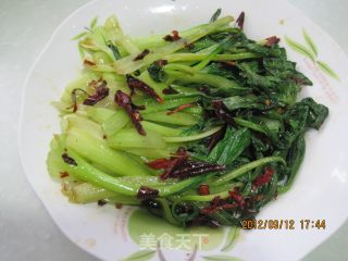 炝油菜的做法步骤：7