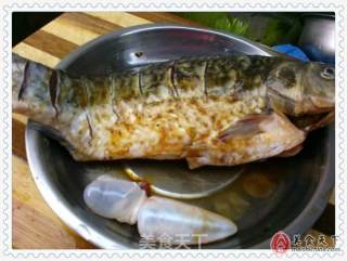 红烧白鲫鱼的做法步骤：3