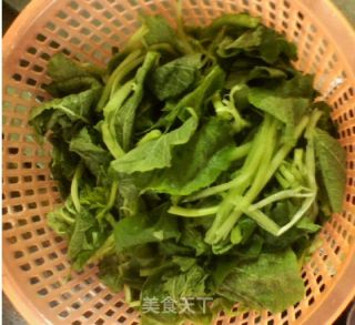 上汤南瓜叶的做法步骤：1