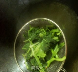 上汤南瓜叶的做法步骤：3