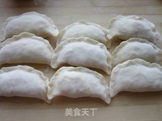 羊肉胡萝卜菜盒子的做法步骤：10