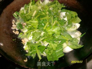 ✿回锅豆腐✿的做法步骤：5