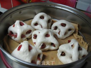 家常馒头的做法步骤：12