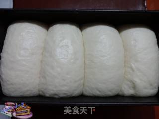 100%中种北海道吐司的做法步骤：10
