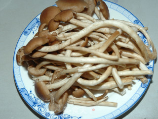 “ 蘑”力“食”足——茶树菇炒牛柳的做法步骤：2