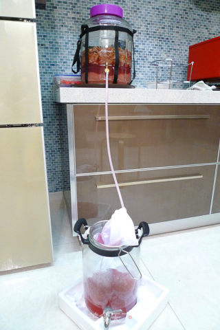 自酿葡萄酒的做法步骤：8