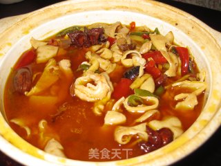 砂锅肥肠的做法步骤：4