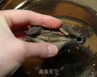 发海参的做法步骤：4