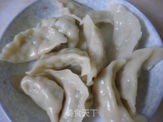 芹菜猪肉馅饺子的做法步骤：15