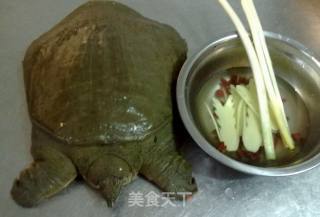 滋补炖甲鱼的做法步骤：3