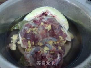 滋补炖甲鱼的做法步骤：8