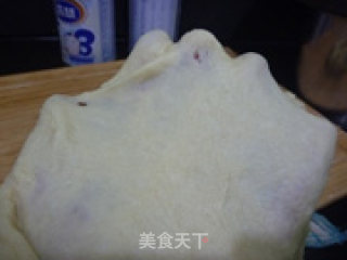 豆沙面包的做法步骤：5