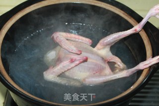 【虫草鸽子汤】——调理滋补佳品的做法步骤：2