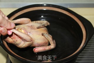 【虫草鸽子汤】——调理滋补佳品的做法步骤：5