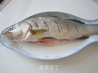 家常炖鲈鱼的做法步骤：2