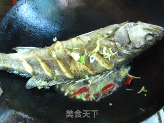 家常炖鲈鱼的做法步骤：3
