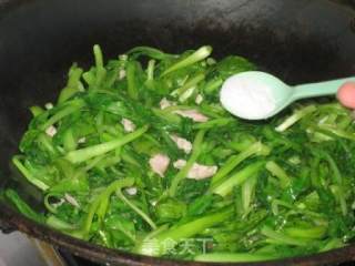 鸡毛菜肉丝炒面条的做法步骤：7