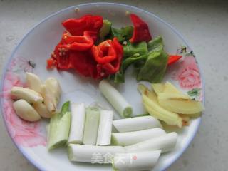 木垒羊肉焖饼——新疆味道的做法步骤：5