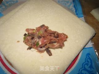 黑木耳瘦肉春卷的做法步骤：4
