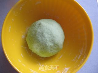 绿野仙踪——菜汁猫耳朵的做法步骤：6