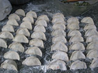 经典韭菜猪肉饺的做法步骤：10