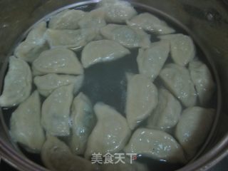 经典韭菜猪肉饺的做法步骤：12