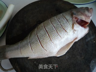 清蒸鲈鱼的做法步骤：2