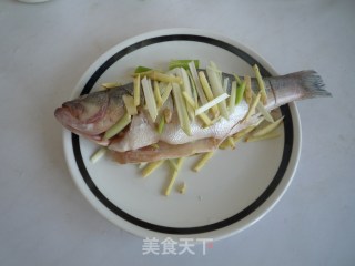 清蒸鲈鱼的做法步骤：7