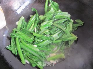 清新小菜---蚝油蒜蓉莜麦菜的做法步骤：5