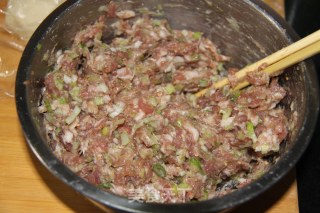 迟到的月饼——【苏式鲜肉月饼】的做法步骤：11