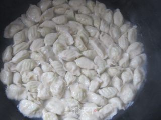 西葫芦蛋饺的做法步骤：13