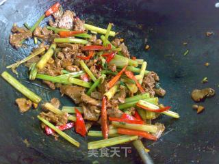 酱炒：酱炒野猪肉的做法步骤：9