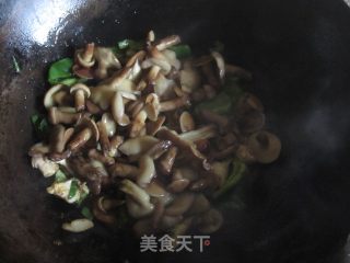 小白菜炒黏蘑的做法步骤：7