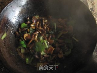 小白菜炒黏蘑的做法步骤：13