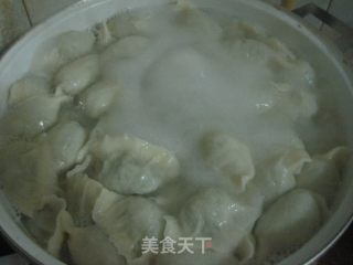 茴香饺子的做法步骤：8