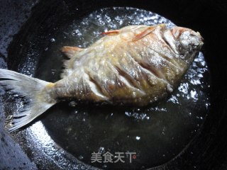 红烧鲳鱼的做法步骤：3