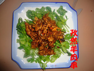 孜然羊肉串的做法步骤：8