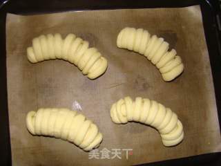 毛毛虫面包的做法步骤：8