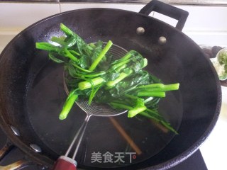 白灼菜心的做法步骤：5