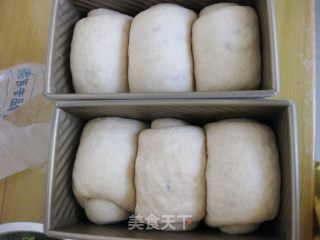 全麦土司的做法步骤：12