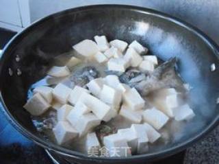 鱼头炖豆腐的做法步骤：8