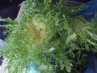 清凉美味的小凉菜---【凉拌苦菊】的做法步骤：1